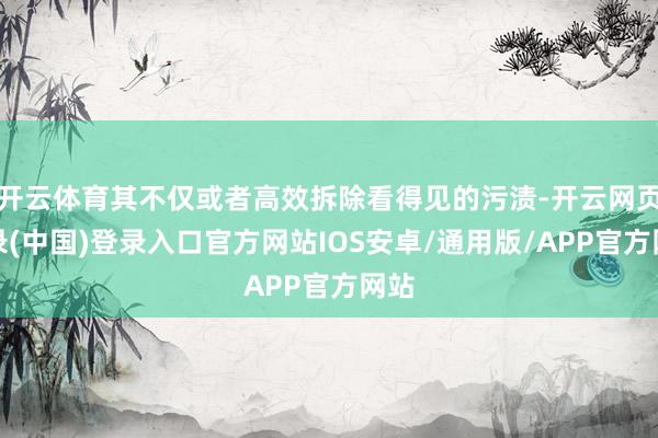 开云体育其不仅或者高效拆除看得见的污渍-开云网页登录(中国)登录入口官方网站IOS安卓/通用版/APP官方网站